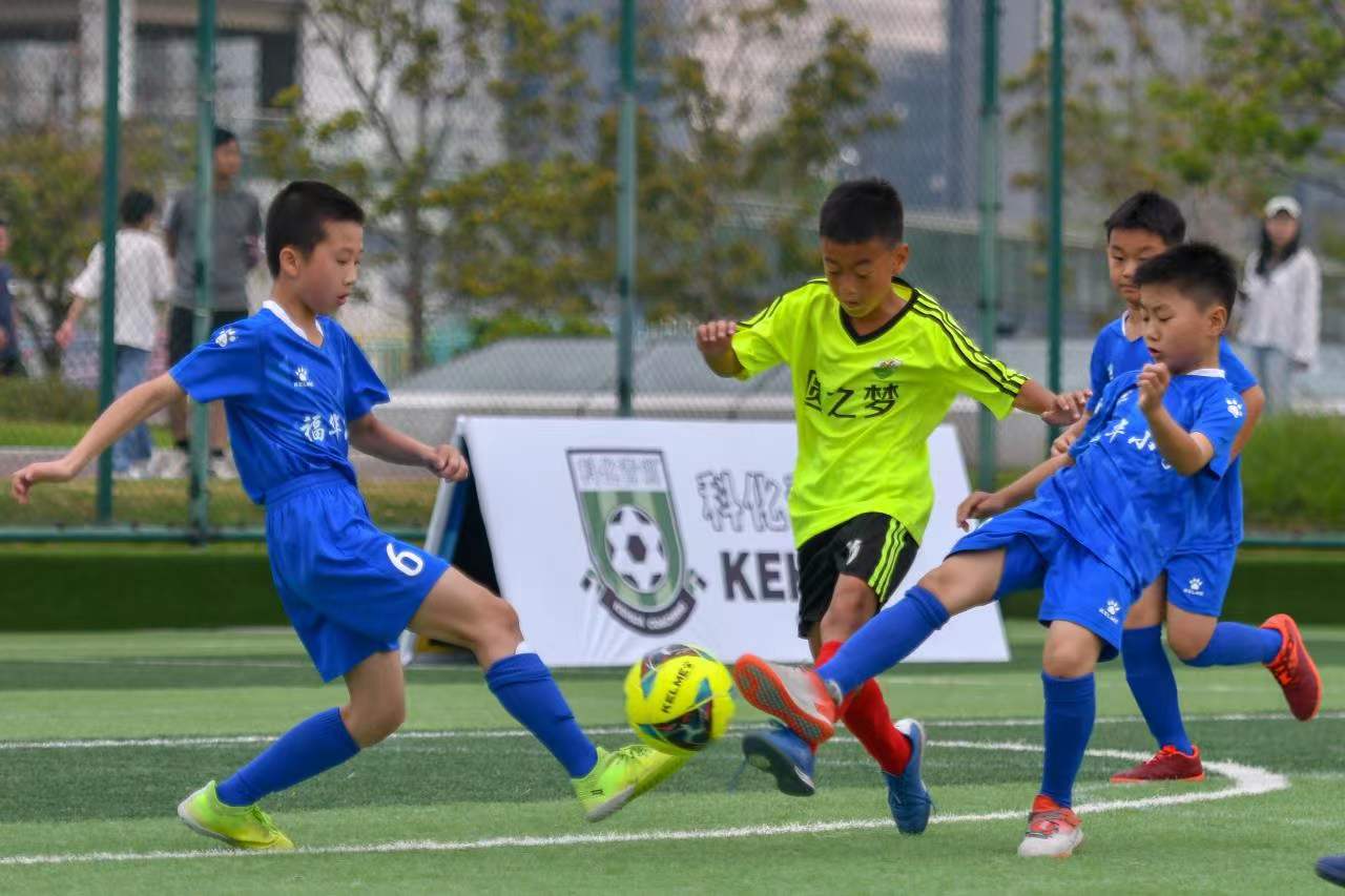 的竞争力 的竞争力