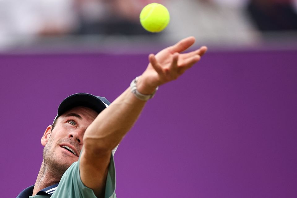 愈发引人瞩 愈发引人瞩